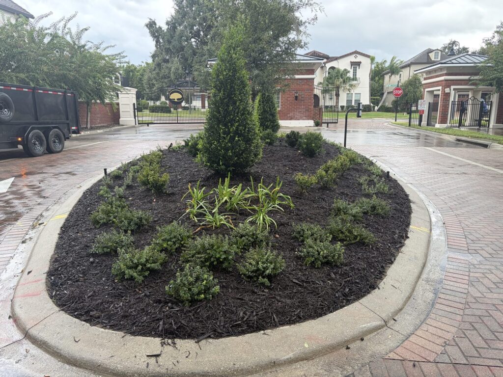 New entrance landscape bed at Canopy Oaks with evergreens, shrubs and fresh mulch by Oakcrest Outdoors